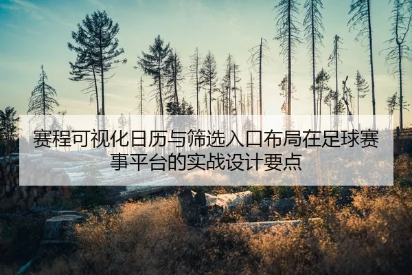赛程可视化日历与筛选入口布局在足球赛事平台的实战设计要点